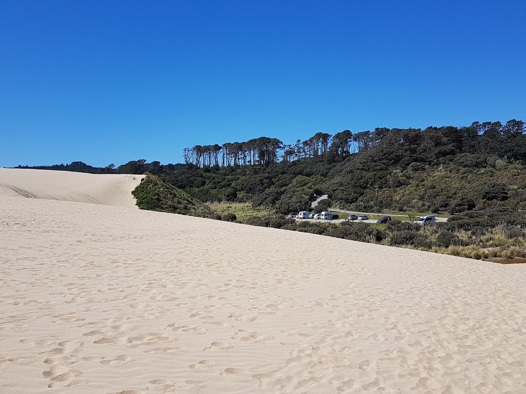 Te Paki Sand Dunes景点图片