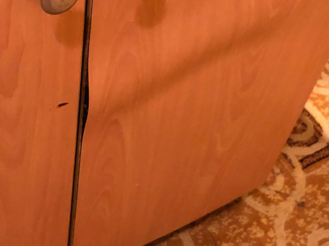 Greenhills Elan Hotel Modern主图