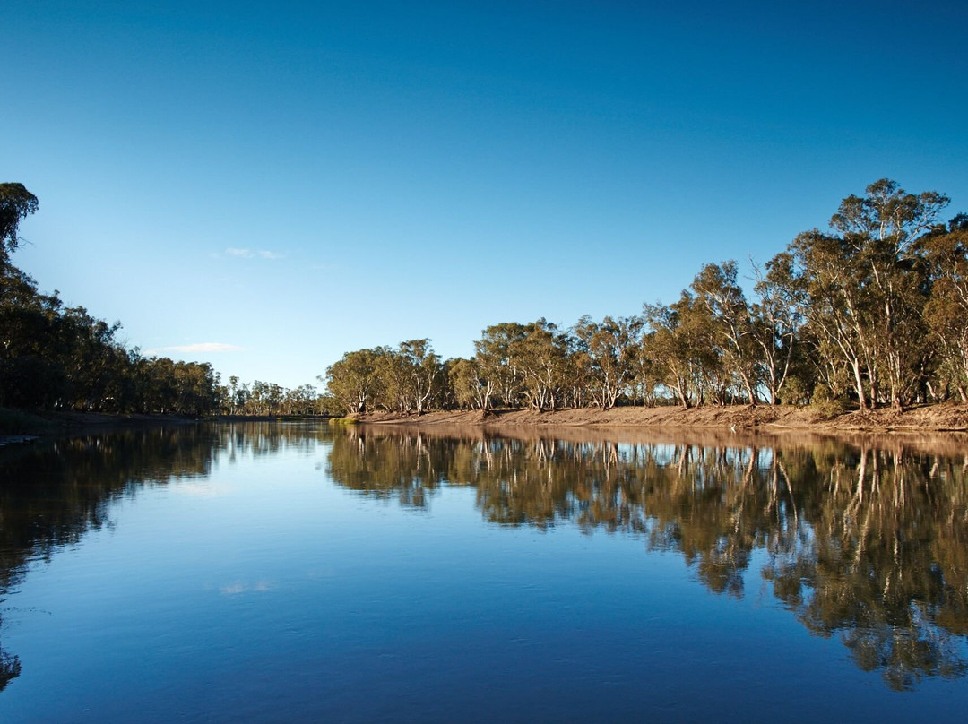Swan Hill Region Information Centre景点图片