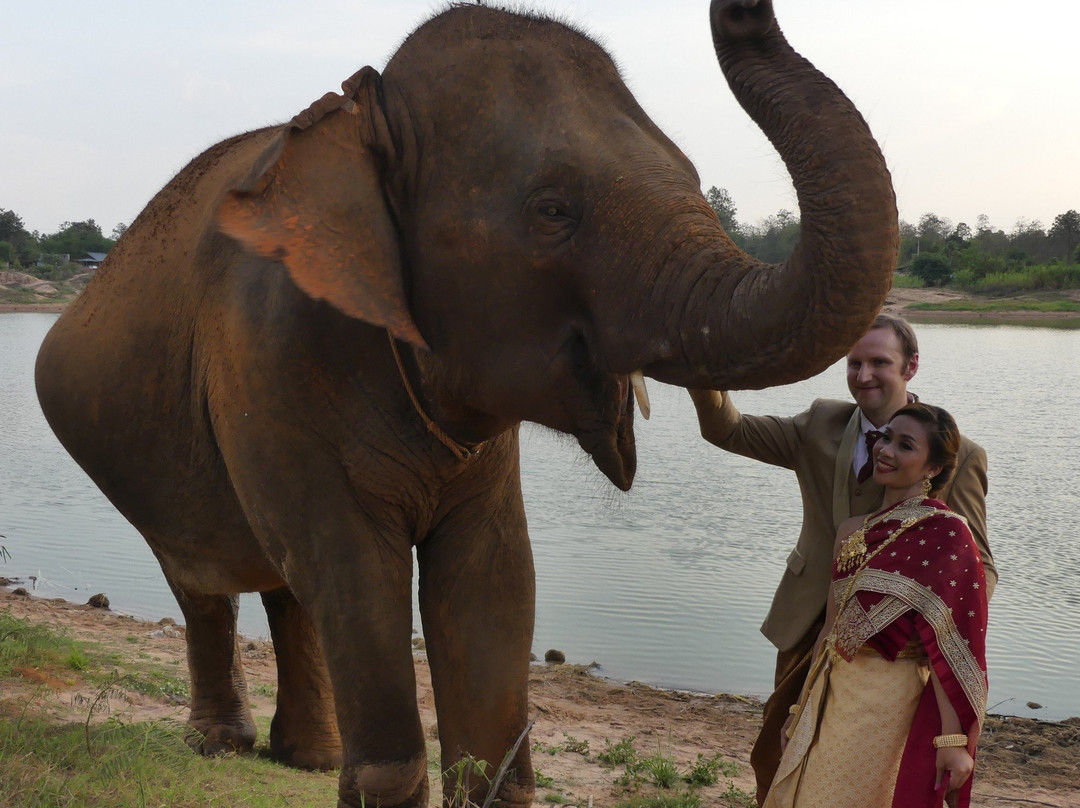 Ban Ta Klang Elephant Village景点图片