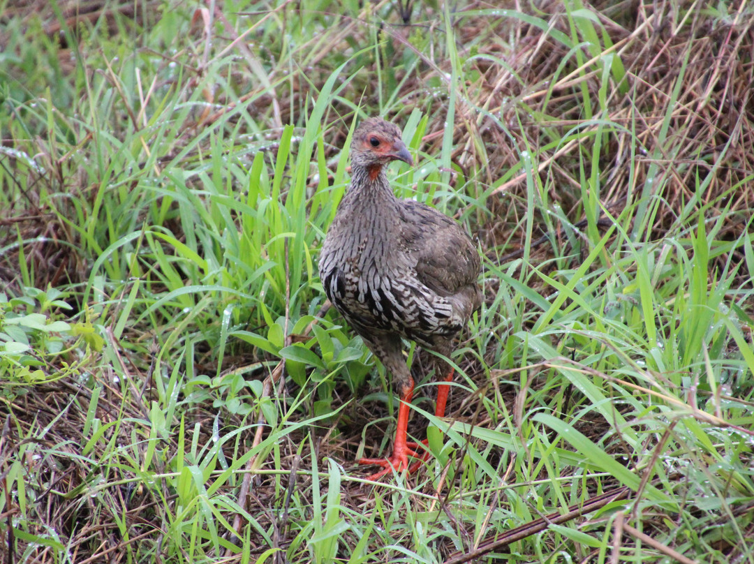 Safaris Partners-莫洛哥罗必去景点