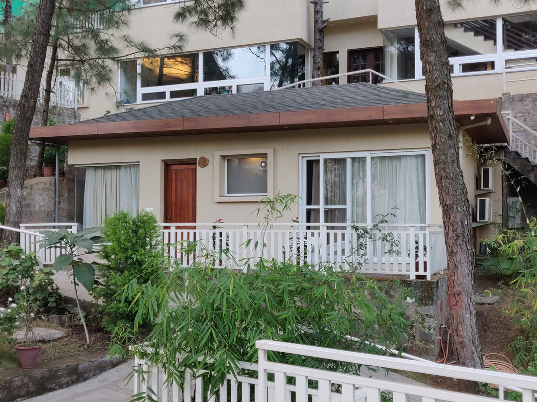 丛林小屋主图