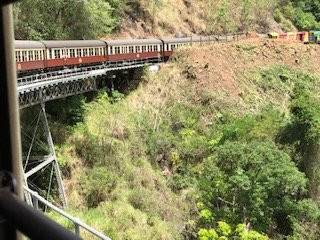 Brett's Kuranda Half Day Tours景点图片