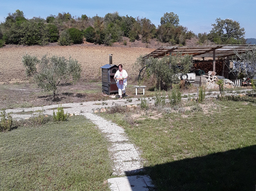 Poggiobono Country House主图