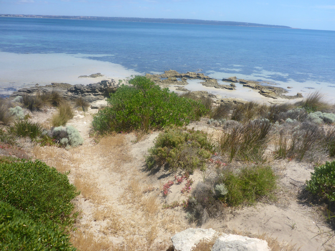 Browns Beach-袋鼠岛必去景点