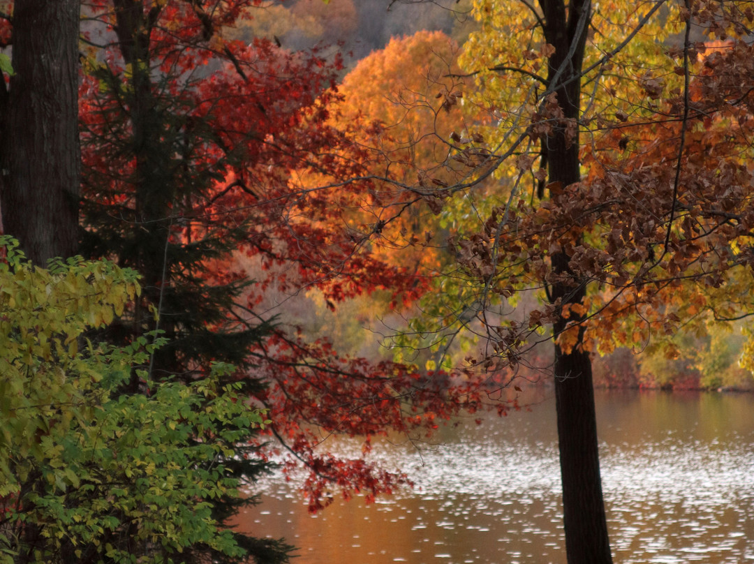 Blue Spruce Park - Indiana Parks and Trails景点图片