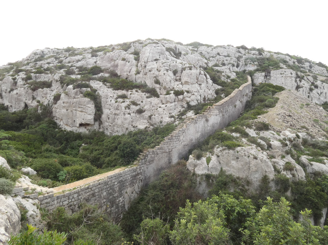 Victoria Lines-Madliena必去景点