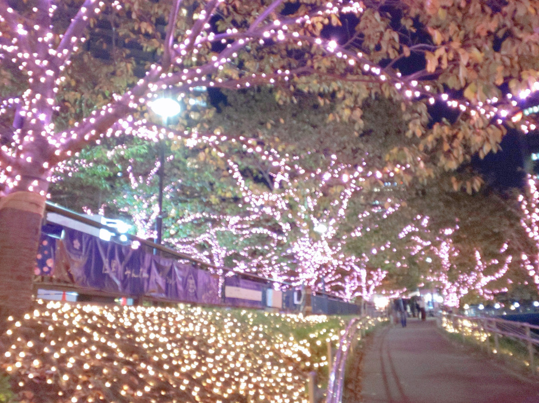 Gotandafureaimizubehiroba-品川区必去景点