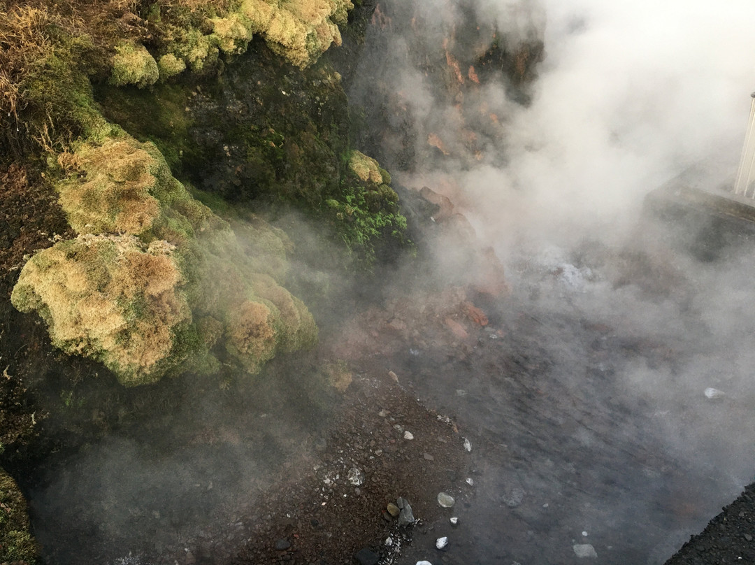 Deildartunguhver Thermal Spring景点图片