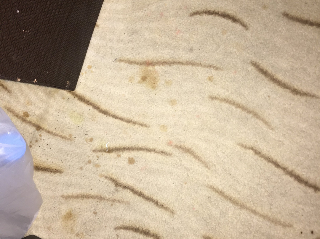 Maryam Sorinet Hotel主图