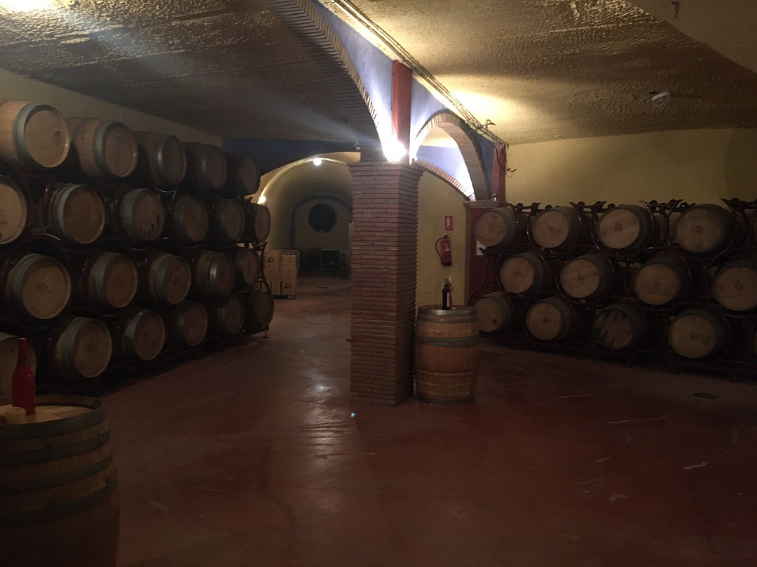 Bodegas Pago de Almaraes-Benalua de Guadix必去景点