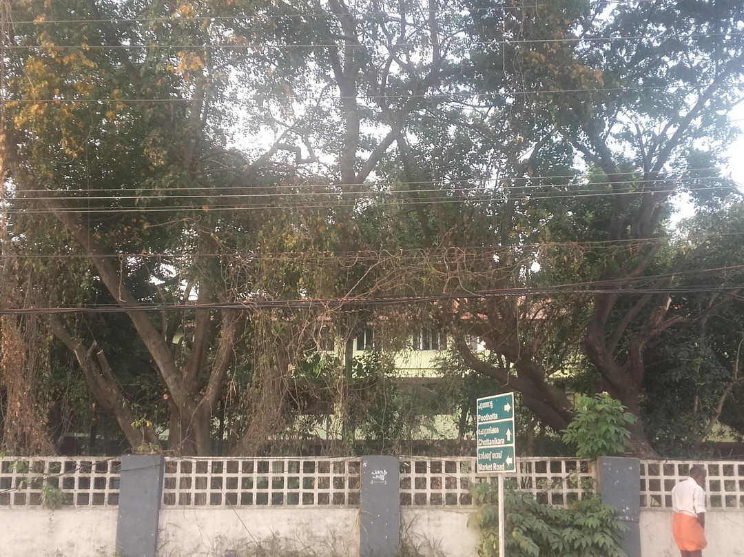 Government Ayurveda College景点图片
