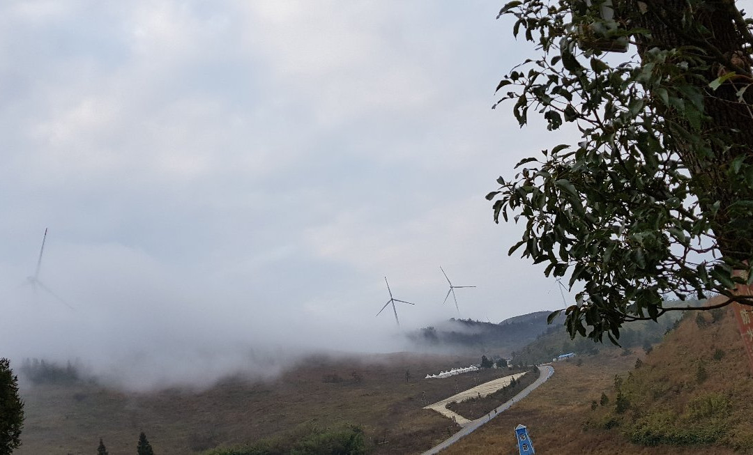 铭雨龙缸假日大酒店主图