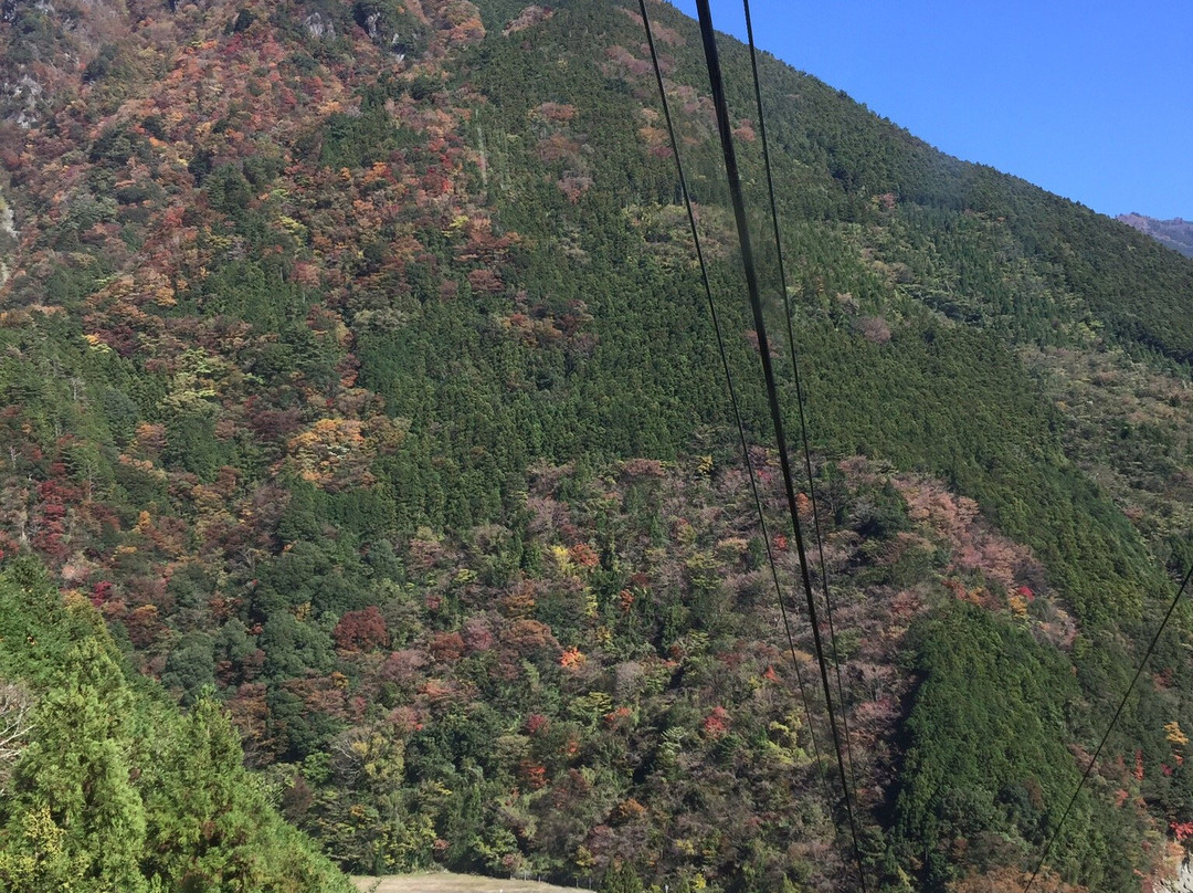 Mt. Ishizuchi Ropeway-西条市必去景点