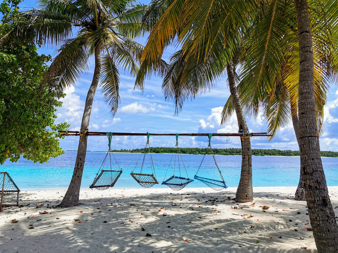 Maclura Residence主图