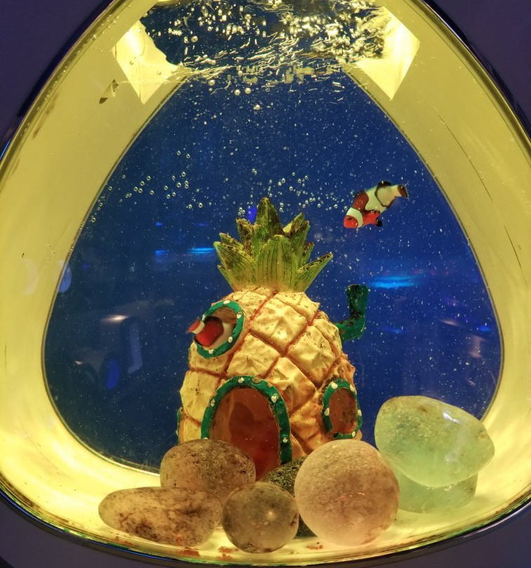 China Tours Net-北京市必去景点