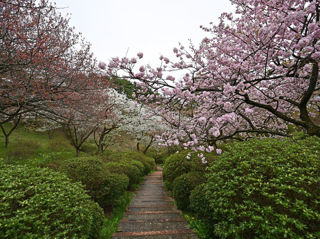 Nihon Kokkaen景点图片