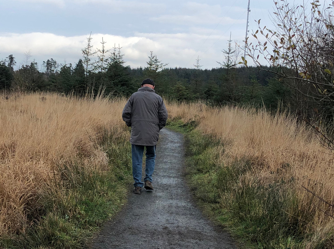 Llyn Llech Owain Country Park-Gorslas必去景点