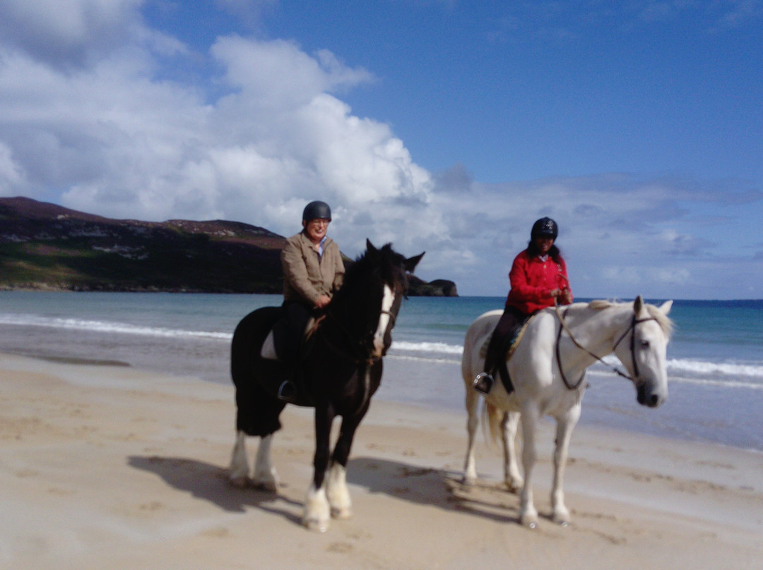 Dunfanaghy Stables-Dunfanaghy必去景点