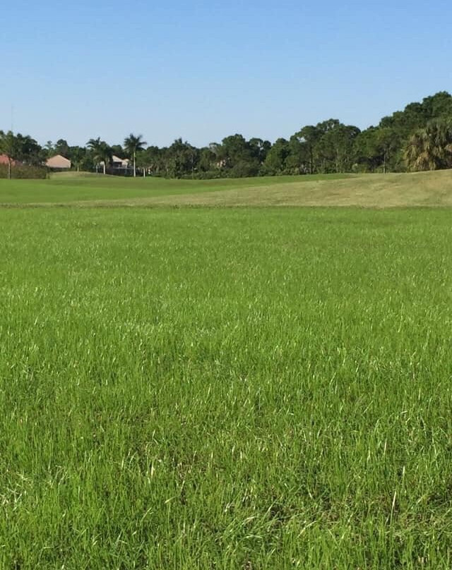 Jensen Beach Golf Club-Jensen Beach必去景点