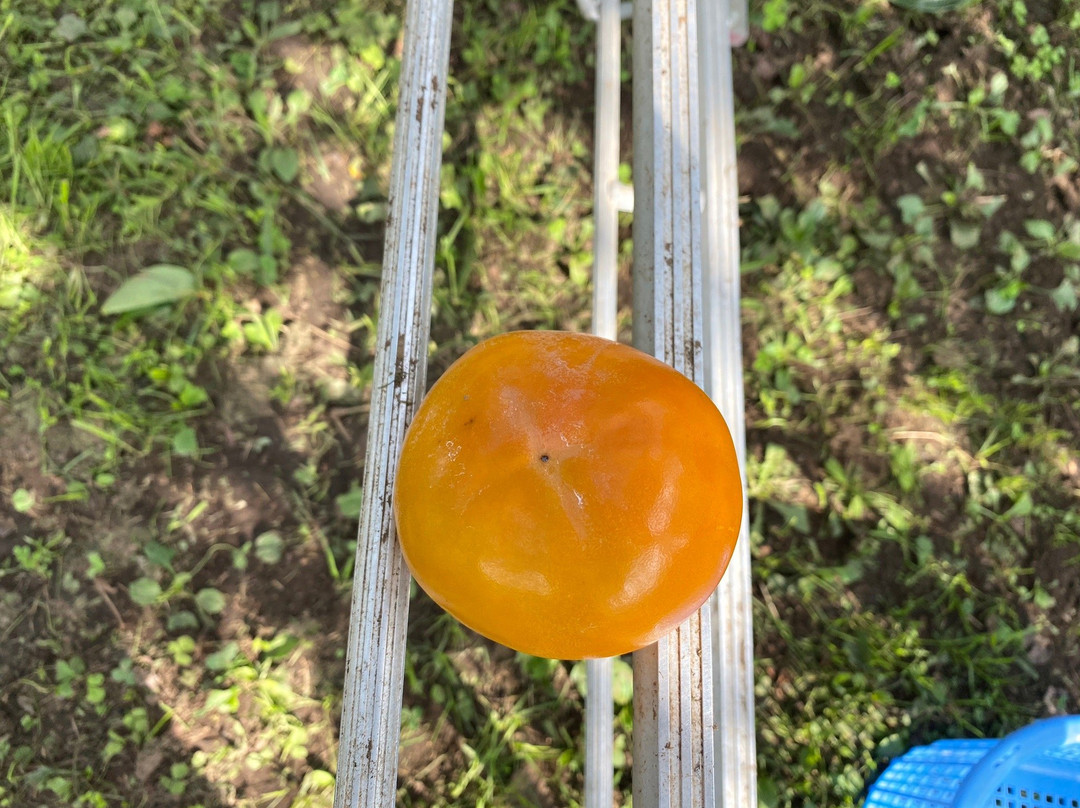 Shunkoen-浮羽市必去景点