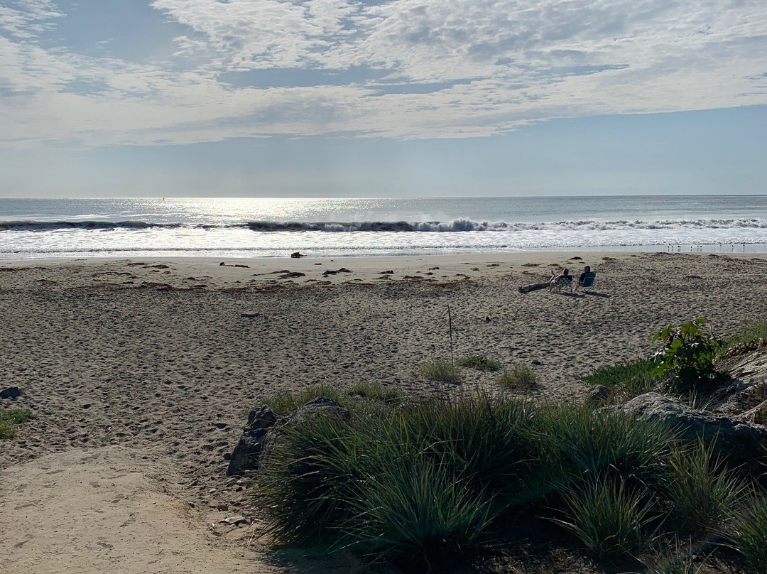 The Cayucos Motel主图