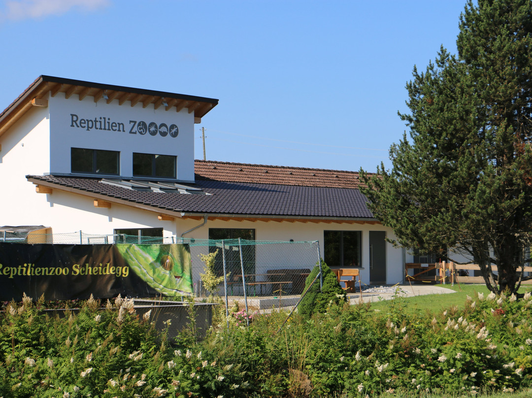 Reptilienzoo Scheidegg-Scheidegg必去景点