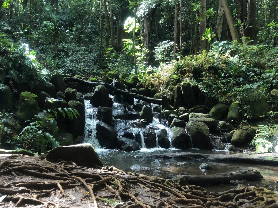 Secret Falls Trail-Wailua必去景点