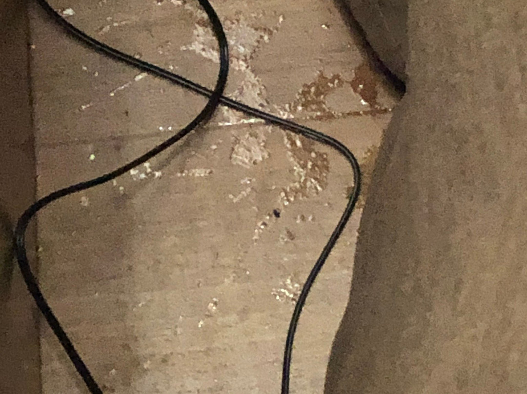 Extended Stay America - San Francisco - San Carlos主图