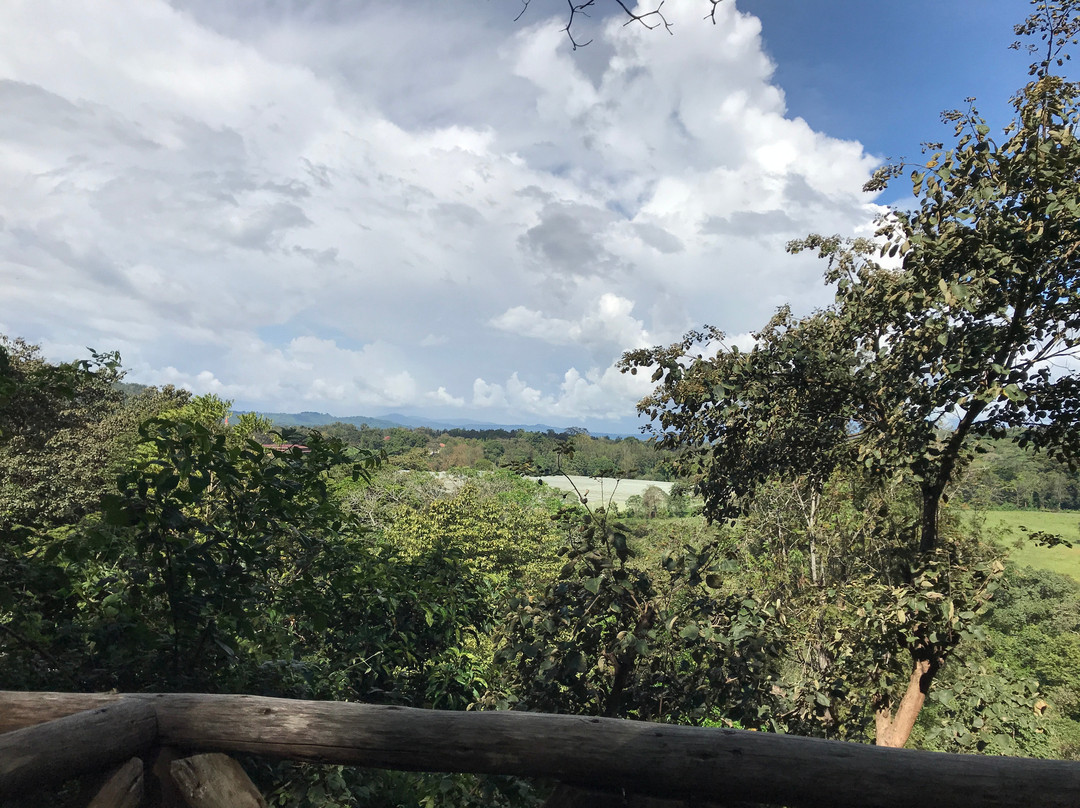 Kigongoni Lodge Arusha主图