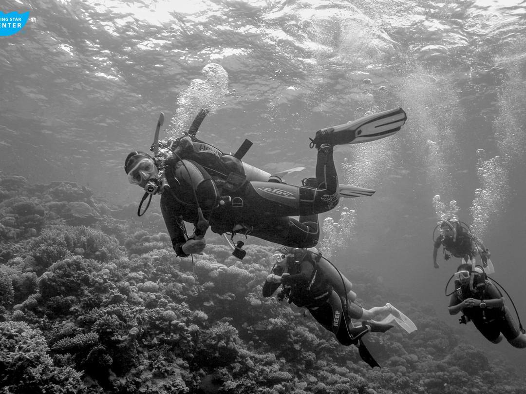 Diving Star景点图片