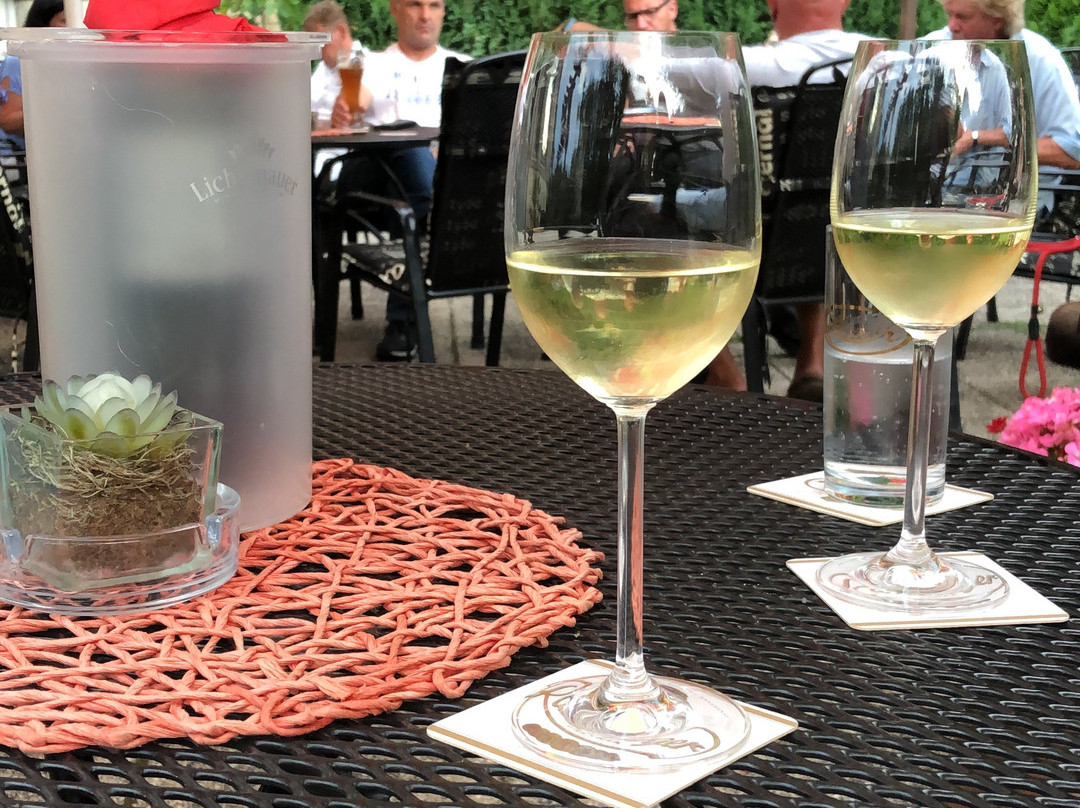 Sachsisches Haus Parkhotel Berggiesshubel主图