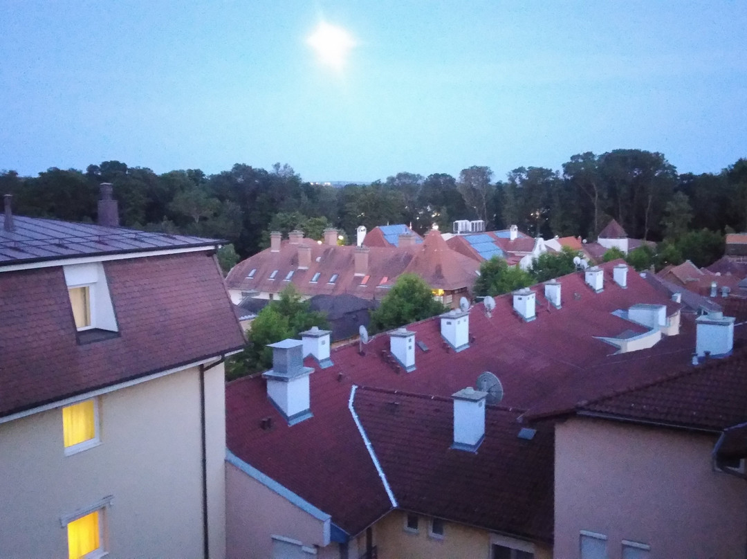 哈维兹宫殿酒店主图