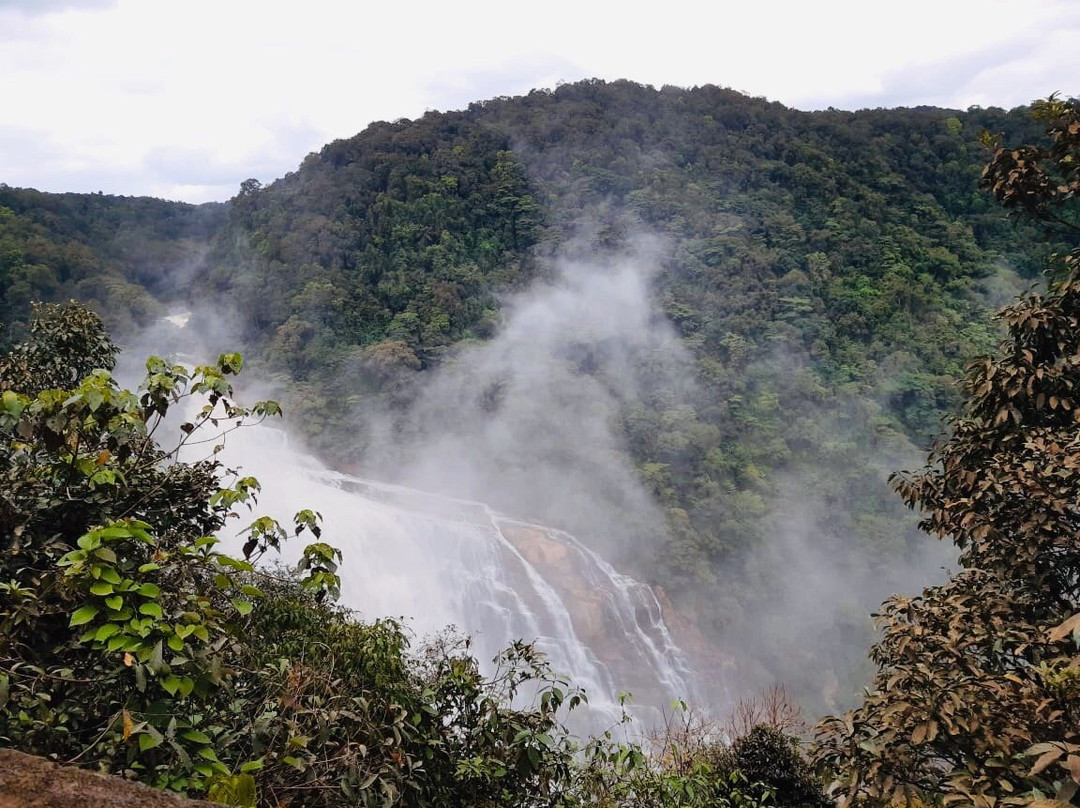 Unchalli Falls景点图片