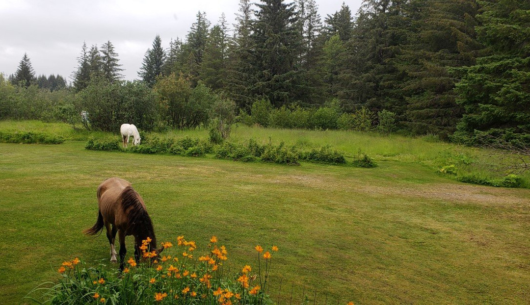 Annie Mae Lodge主图