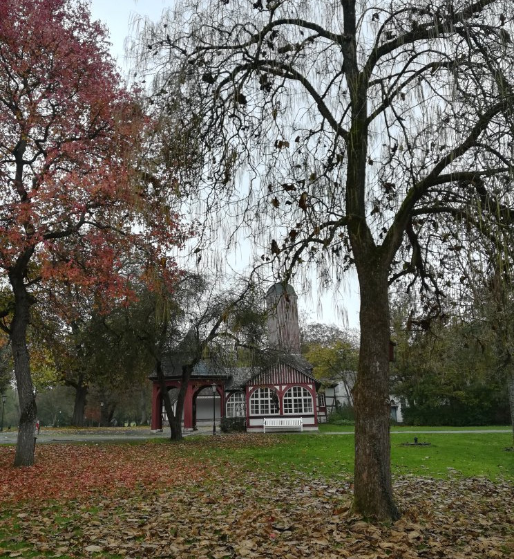Kurpark Bad Salzhausen景点图片