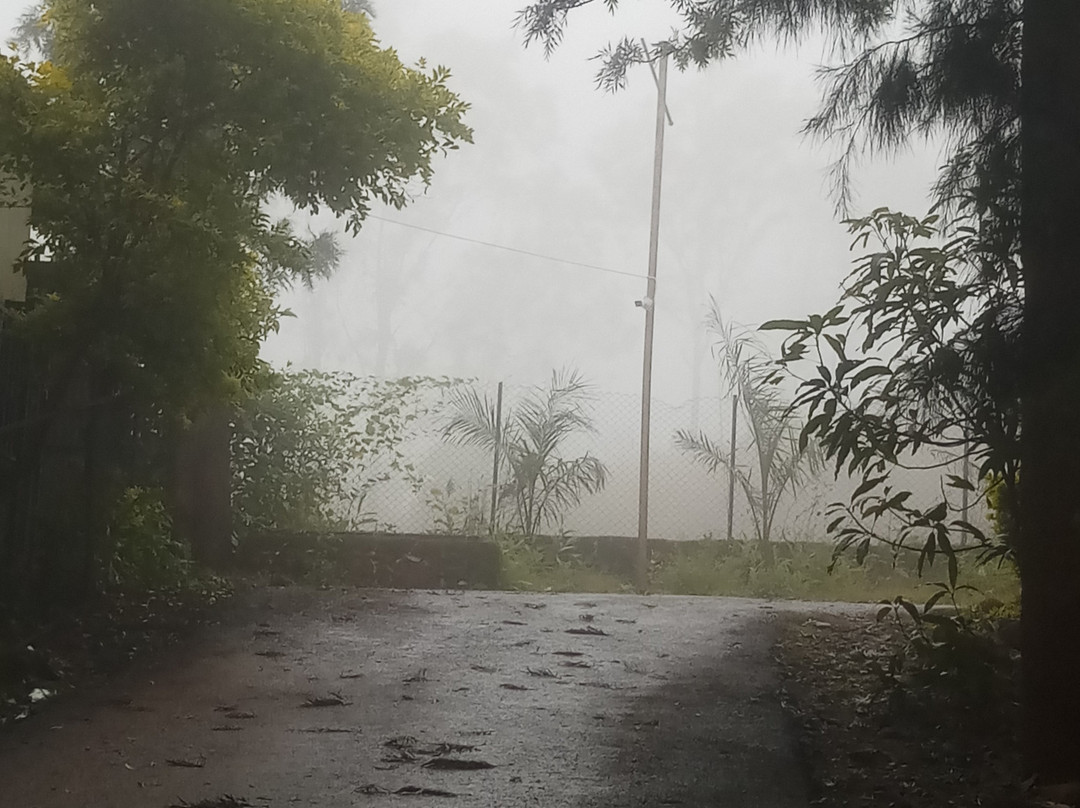 Treebo Trend Hotel Silver Inn主图