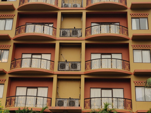 The Orchid Hotel主图