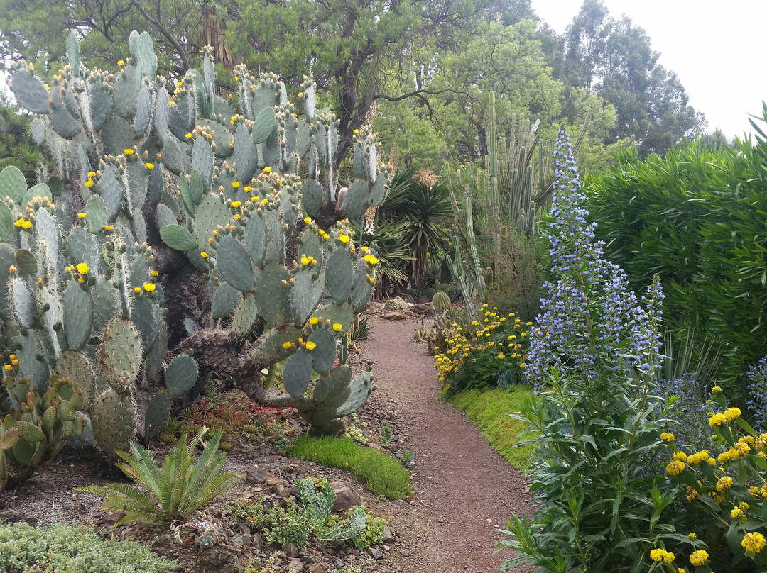 The Ruth Bancroft Garden-核桃溪必去景点