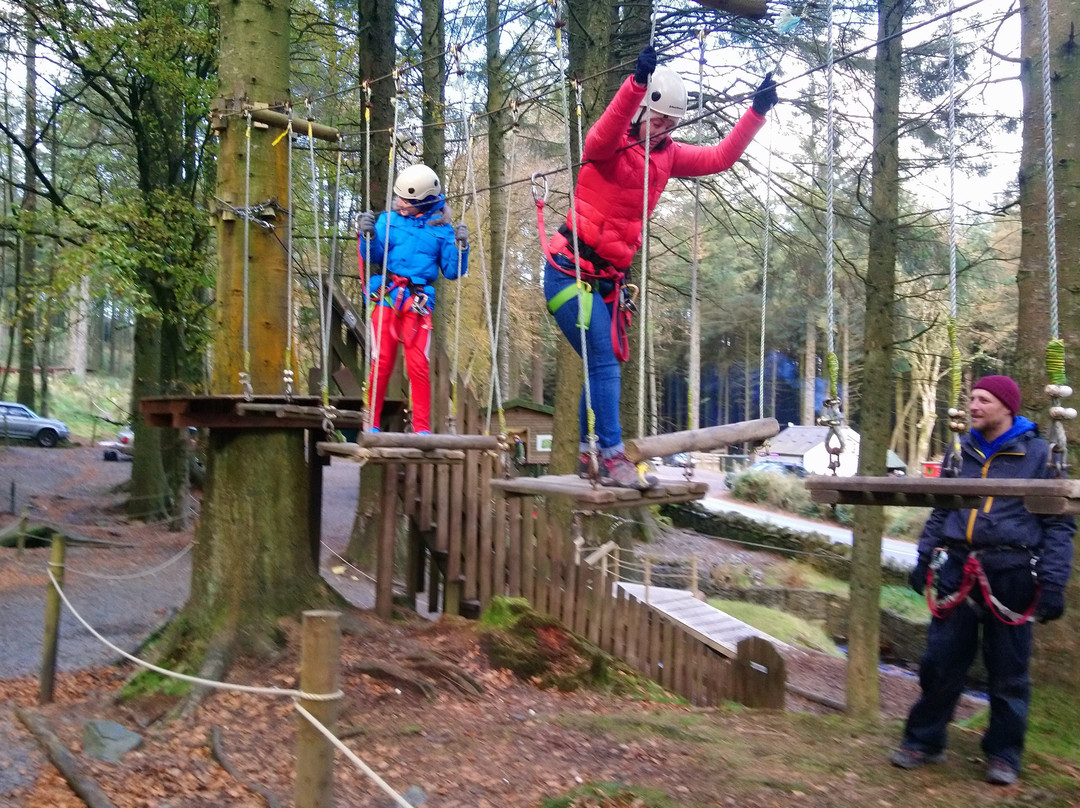 Ape Mann Adventure Park-Foxdale必去景点