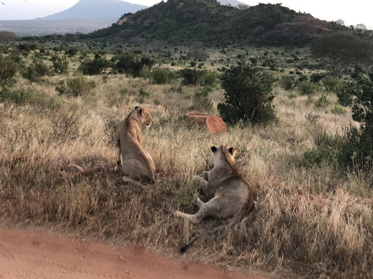 Desmus Safaris Kenya-瓦塔木必去景点