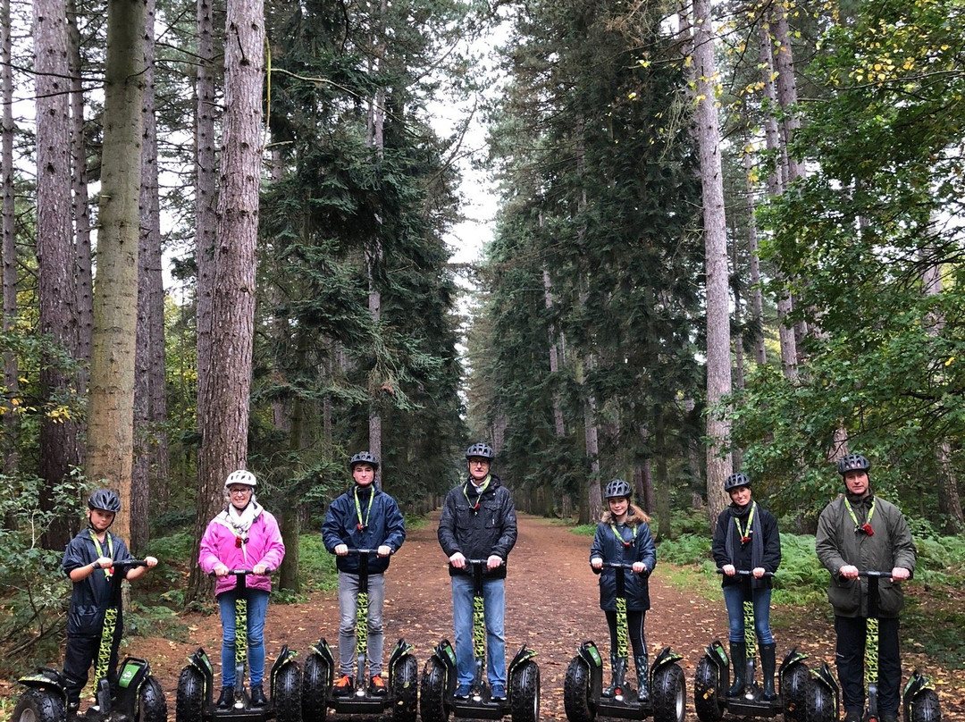 Go Ape Black Park景点图片