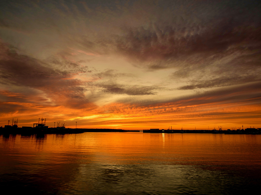 Harbourview Bed & Breakfast主图