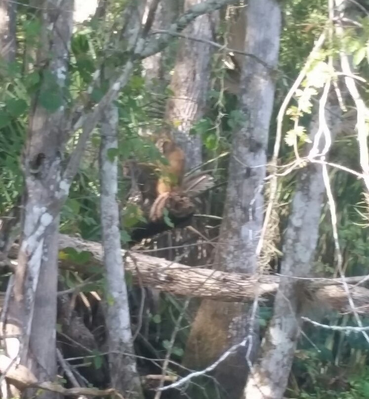 Captain Tom's Custom Charters-Belleview必去景点