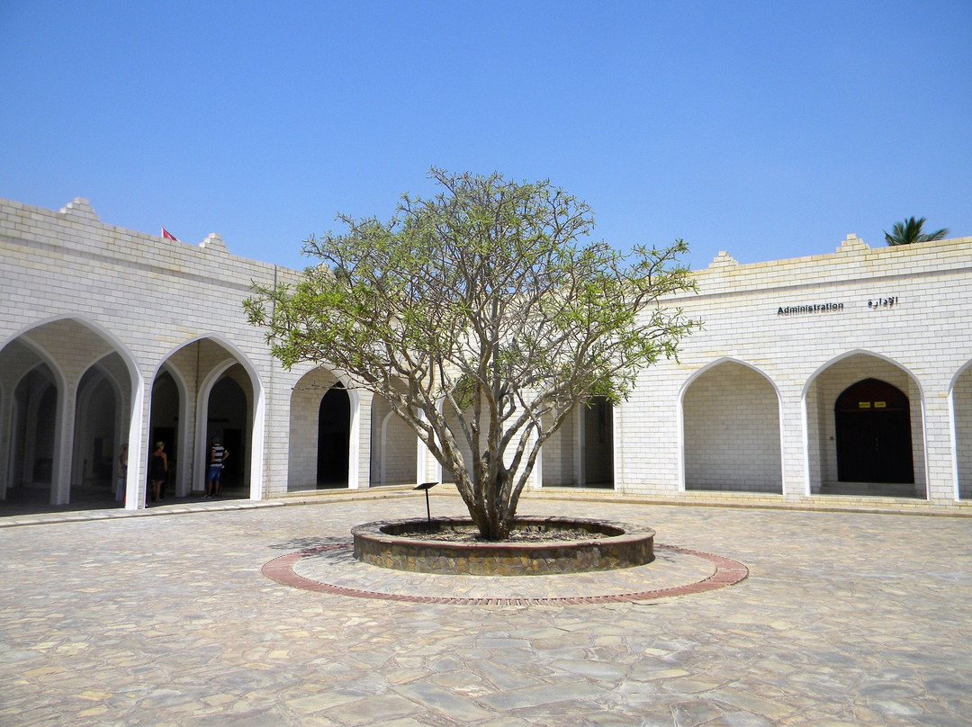 Museum of the Frankincense Land景点图片