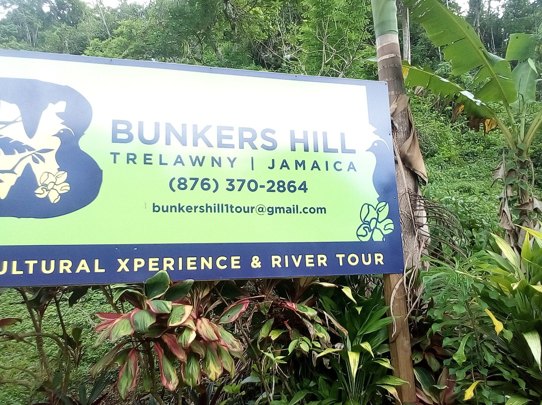 Bunkers Hill Cultural Xperience & River Tour景点图片