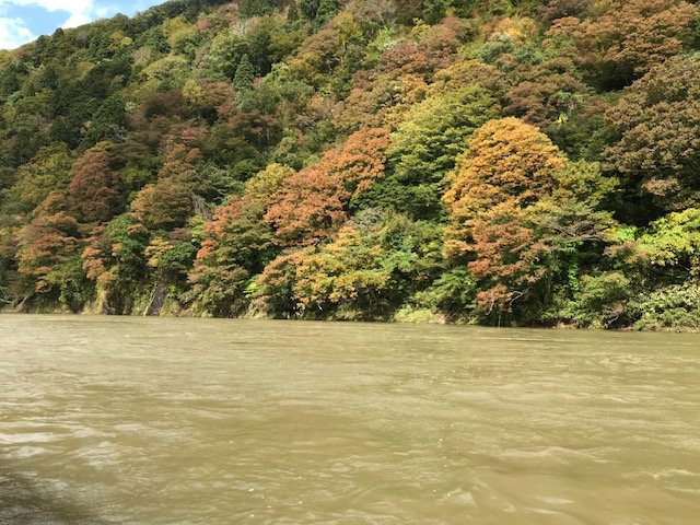 Mogami River Basyo Line Descent景点图片