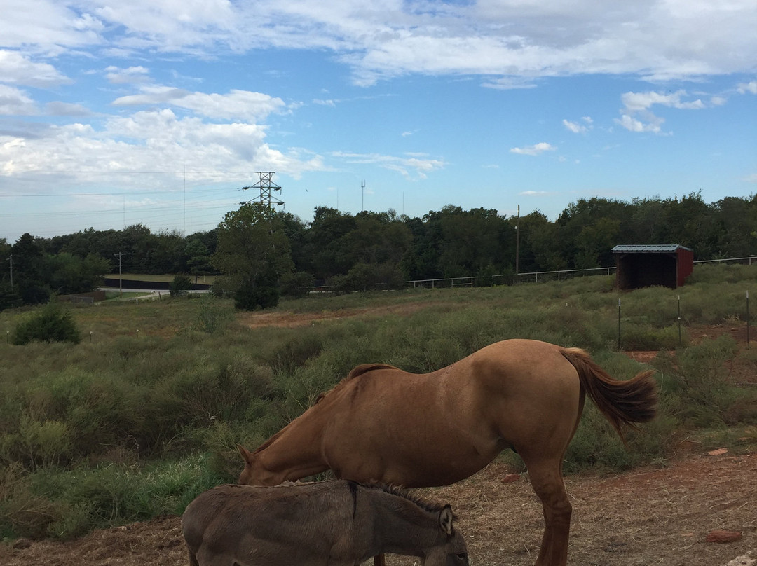 Rusty Gables Guest Lodge & Gallery主图