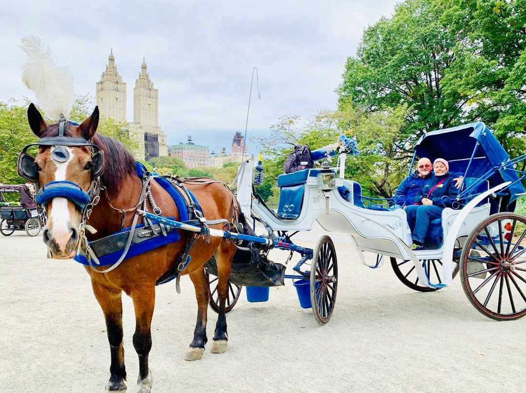 VIP Central Park tours-纽约市必去景点