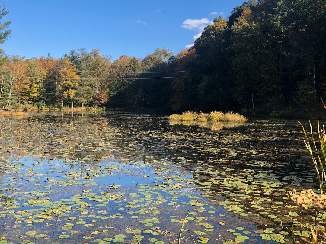 Wahkeena Nature Preserve-Sugar Grove必去景点